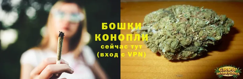 Канабис THC 21%  где продают наркотики  Шацк 